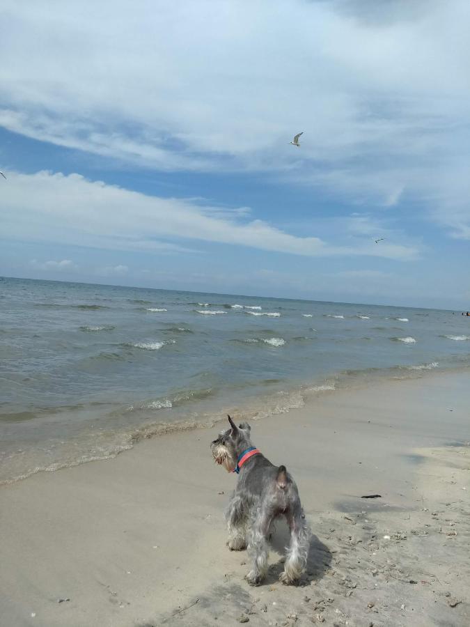 Urantia Beach Hostel & Camping San Onofre Buitenkant foto