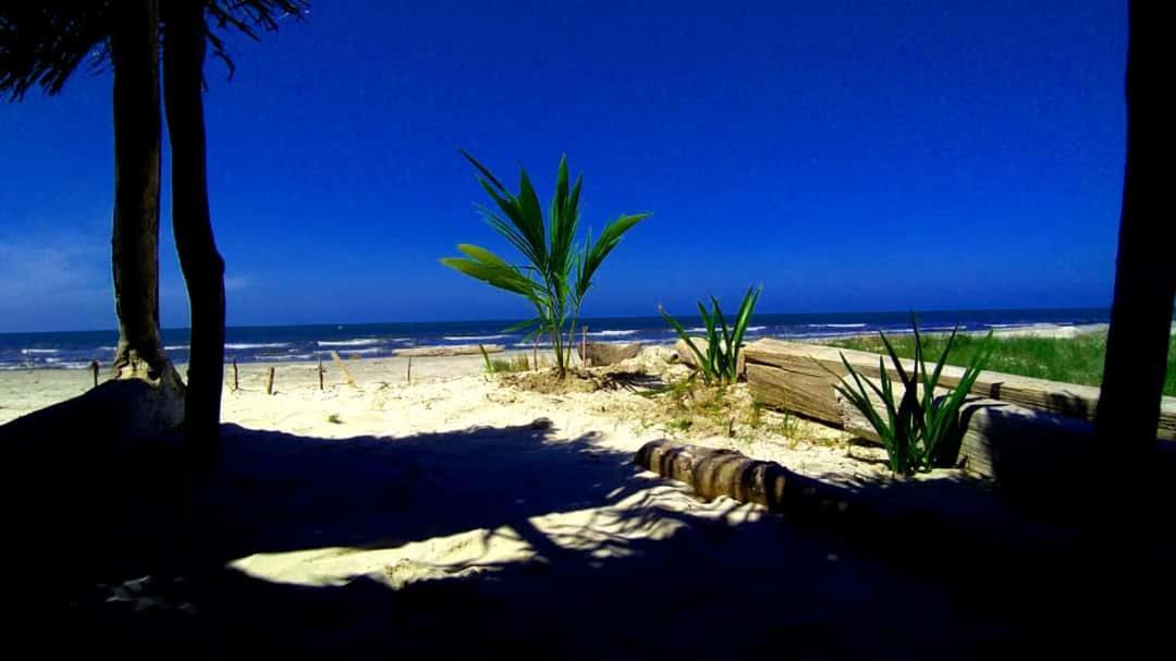 Urantia Beach Hostel & Camping San Onofre Buitenkant foto